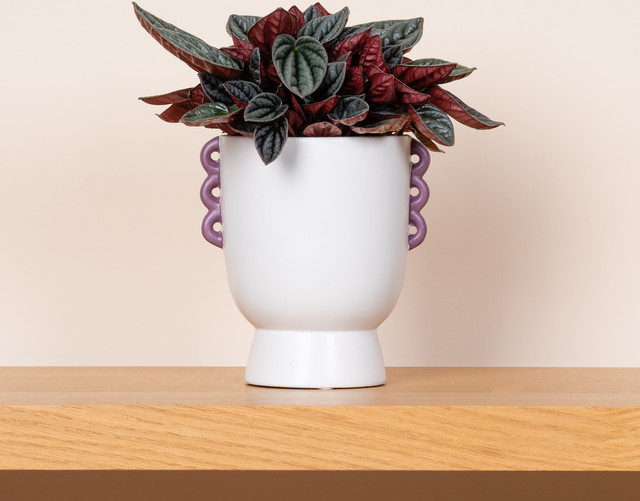 Keramik Übertopf Green Living BLUME2000 bauchige Form Weiß/Flieder Höhe: 12,2 cm - Bild 1