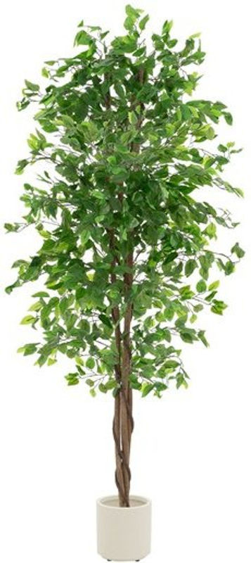 Künstlicher Ficus ML-Design als Kunstpflanze mit Naturholzstamm und Topf, Höhe: 210 cm - Bild 1