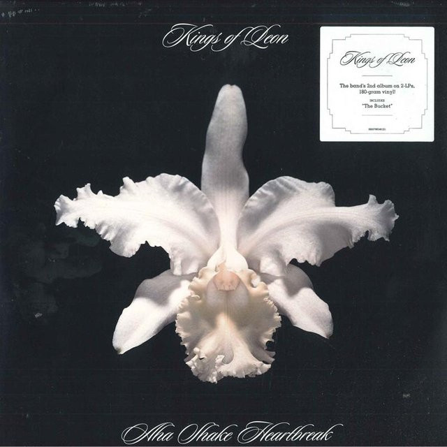 Kings of Leon - Aha Shake Heartbreak LP Schallplatte auf grauem Vinyl von RCA Records (2013) - Bild 1