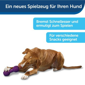 PetSafe Chuckle, befüllbares Hundespielzeug, Snackspielzeug - Bild 2