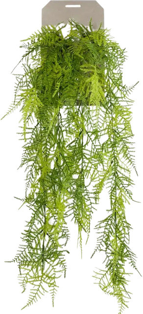 Künstlicher Hänge-Feder-Spargel Luke von Aplanta, Grün, Höhe: 80 cm - Bild 1