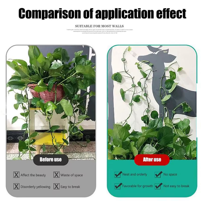 Selbstklebender Pflanzenhaken in Grün zur Befestigung und Unterstützung von Rankpflanzen im Garten - Bild 5