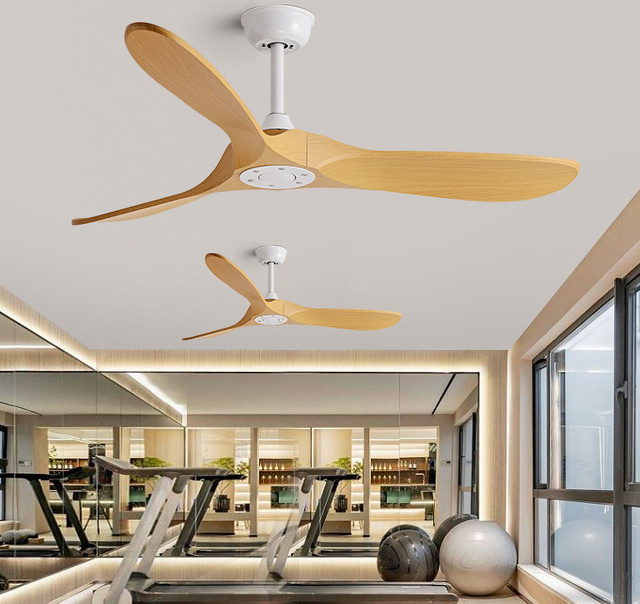 Intelligenter Deckenventilator mit Licht von ludengchaoshi mit umkehrbarem Motor, 6 Geschwindigkeiten und Timer-Funktion für Wohnzimmer und Schlafzimmer - Bild 1