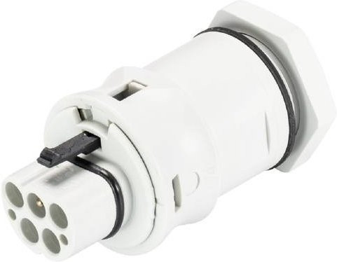 Wieland Electric 96.052.6053.0 Geräteanschluss in Grau und Weiß - Bild 1