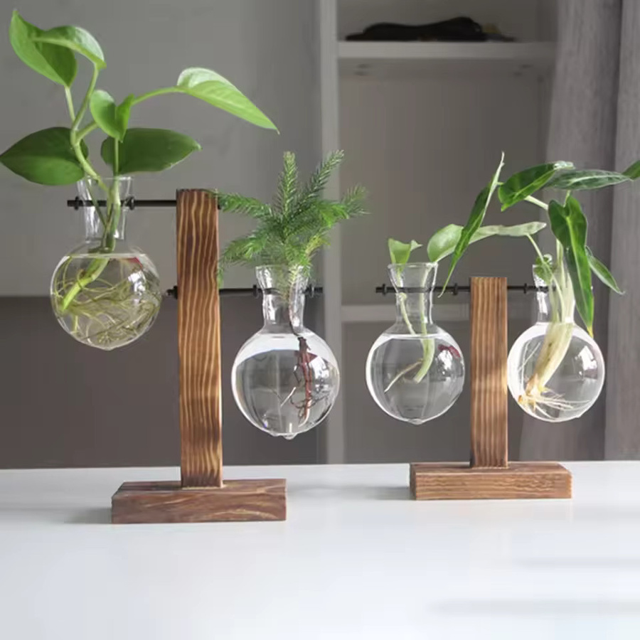 PGY Hydroponisches Glas-Tischpflanzgefäß in Glühbirnen-Form mit Holzständer, transparent - Bild 2