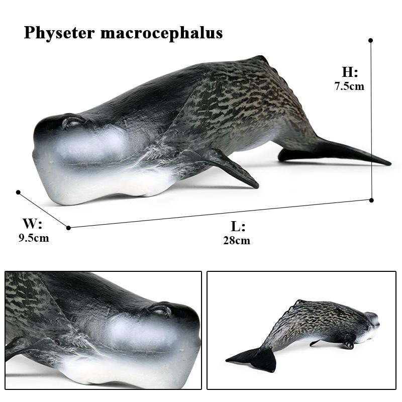 Oenux Meeresleben Actionfiguren Megalodon Beluga Hai Orca Pottwal Blauwal - Bild 2