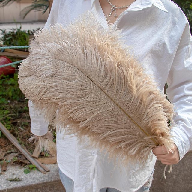 10 Stück XQ We Wantice Straußenfedern für Bastelarbeiten und Hochzeitsdekoration in Weiß, Pink und Beige, Länge: 45-50 cm - Bild 1