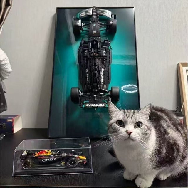 Wandhalterung für LEGO 42171 Mercedes-AMG F1 Baustein-Automodell, schwarze Display-Vitrine zur Wandmontage aus Kunststoff - Bild 1