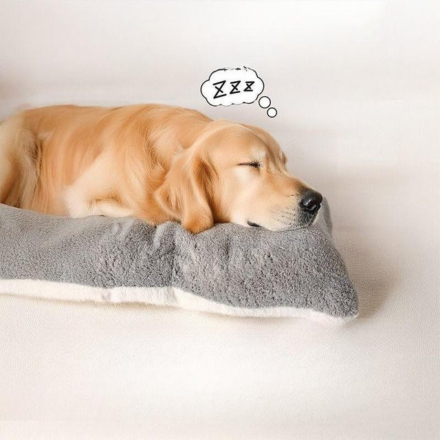 Ouyaohong Hundebett aus Samt und PP-Baumwolle, Grau, B: 90 cm, T: 60 cm - Bild 1