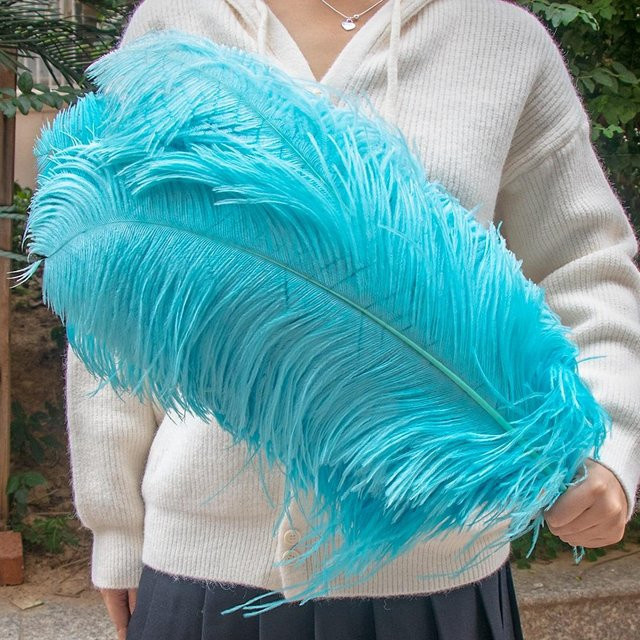 10 Stück Straußenfedern von XQ We Wantice für Bastelarbeiten und Hochzeitsdekoration, Farben: Blau, Pink, Weiß, Länge: 45-50 cm - Bild 1