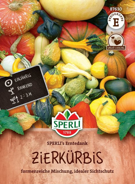 SPERLI Zierkürbis-Samen Erntedank mehrfarbig - Bild 1