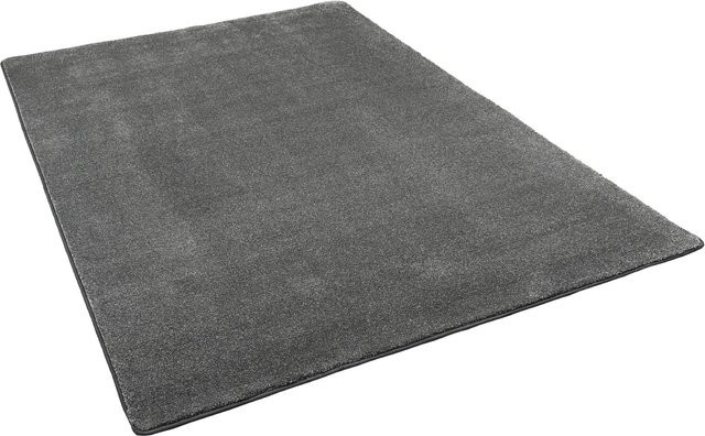 Snapstyle Hochflor Luxus Velours Teppich Touch Anthrazit B: 80 cm, L: 400 cm - Bild 1