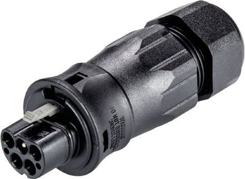 Wieland Electric 96.052.4553.1 Steckverbinder in Schwarz - Bild 1