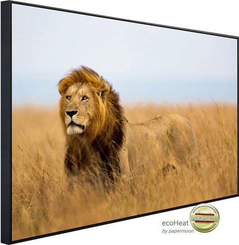 papermoon EcoHeat Infrarotheizung Löwe in Masai Mara Kenia mit Matt-Effekt in Bunt, App-Steuerung und Überhitzungsschutz - Bild 1