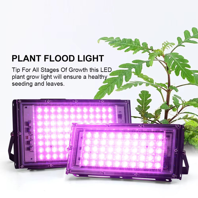 YNL Full Spectrum LED Pflanzenlampe für Gewächshaus und Hydrokultur mit EU-Stecker - Bild 2