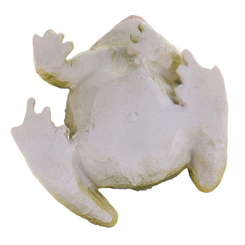 Love DIY Mini-Frosch-Figur aus Kunstharz in Grün für Feengarten und Dekoration im Innen- und Außenbereich - Bild 11