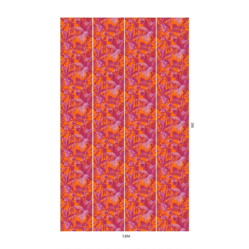 House of Hackney Wandtattoo Mural Pampas Tangerine/Azalea in Orange mit floralem Naturdesign, Vlies Tapete, Breite: 300 cm, Höhe: 45 cm - Bild 2