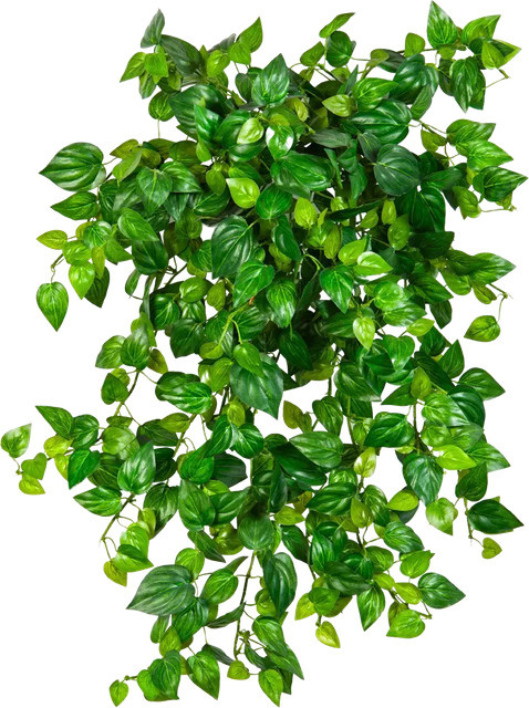 Künstliche Philodendron Pflanze von Aplanta in Grün - Bild 1