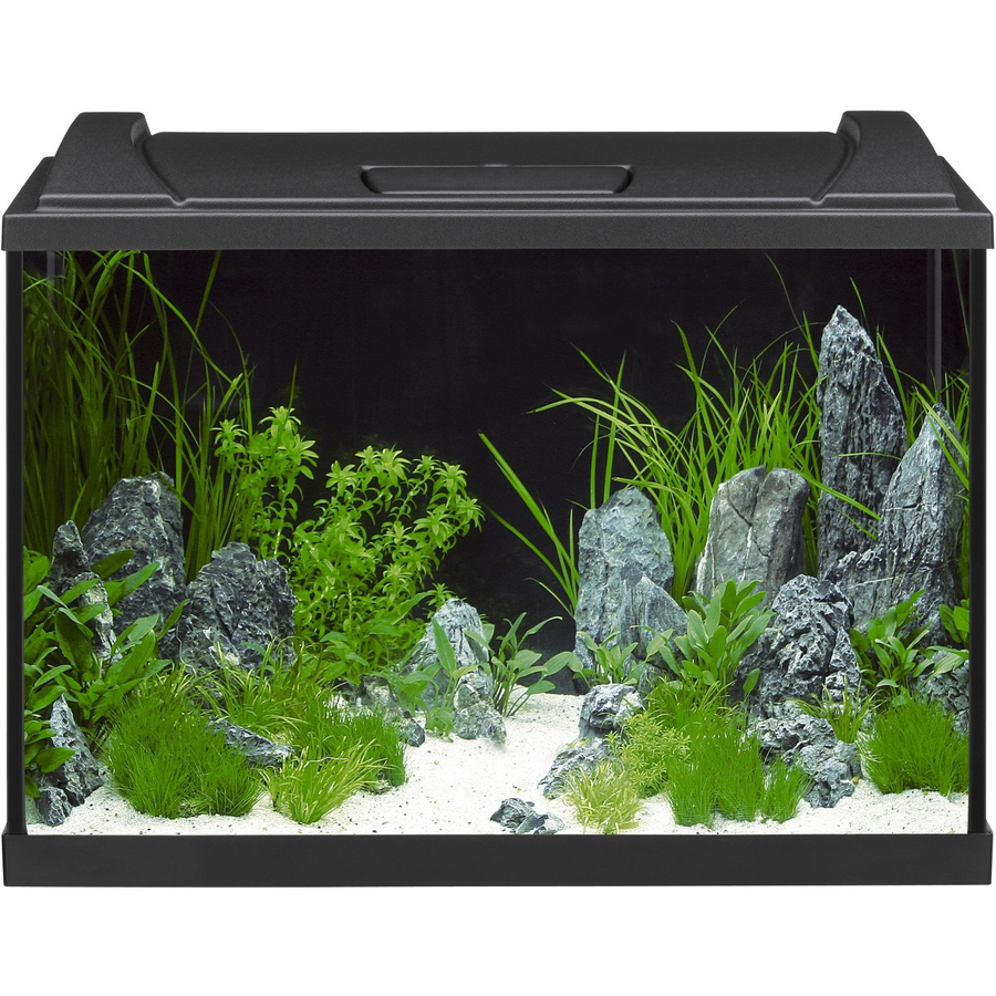 Eheim Aquapro LED 84 Aquarium-Set in Schwarz - Bild 2