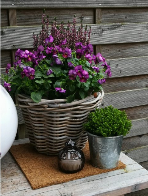 Proflora Kokosfaser Mulchmatte in Braun als Topfuntersetzer und Baumschutz, B/B: 30 x 30 cm - Bild 1