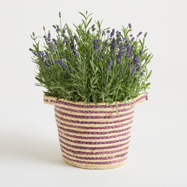 Seegras Korb von BLUME2000, pink gestreift, Tischdeko, B: 21,0 cm, H: 18,0 cm, T: 1,0 cm - Bild 1