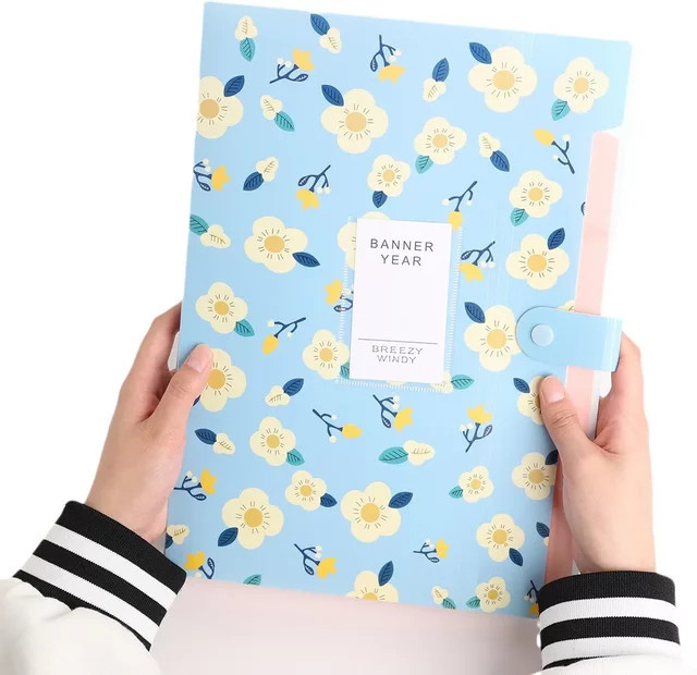 A4 Dokumenten-Organizer aus Kunststoff für Schreibtisch und Büro, blaue Ablagebox für Papier und Dateien - Bild 1