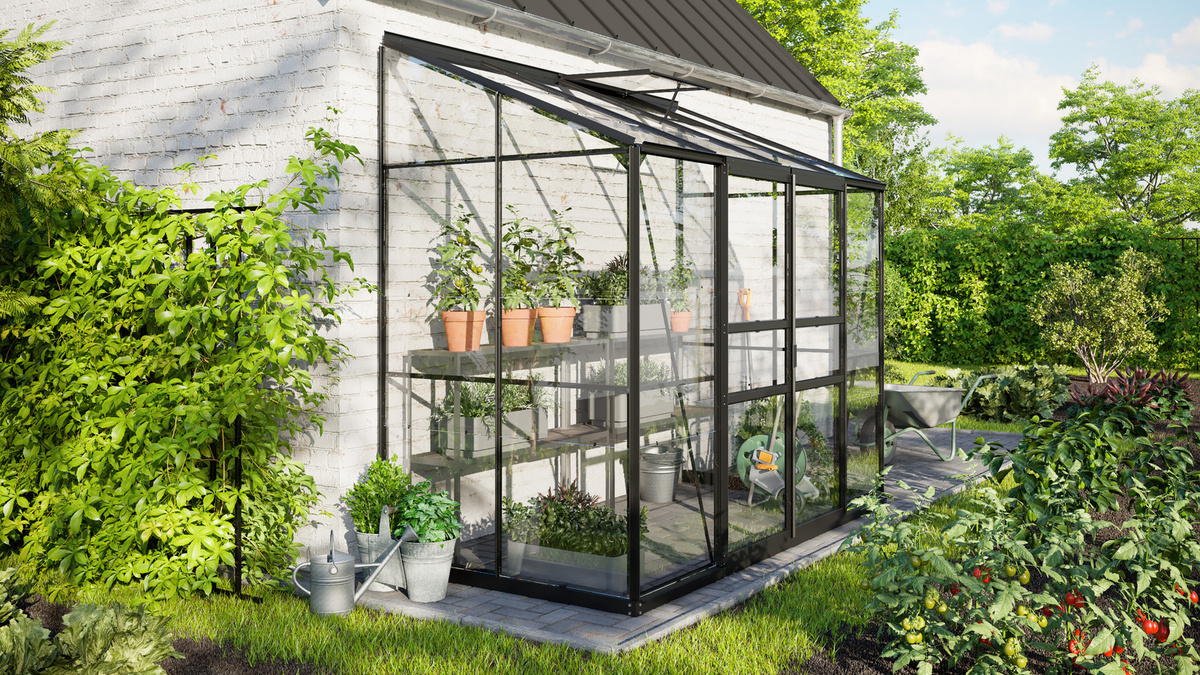 Vitavia Anlehn-Gewächshaus Ida 3300 in Schwarz mit 3,3 m² Fläche und 3 mm ESG-Glas - Bild 2