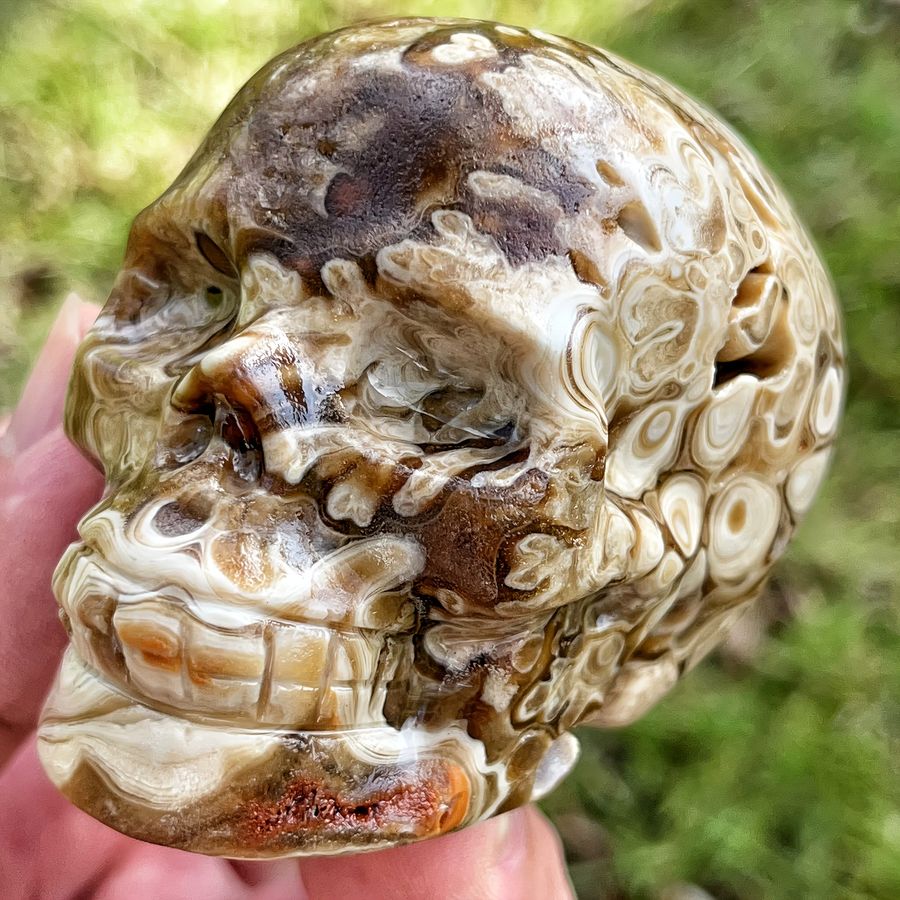 CRYSTALHOLA Natürlicher Schokoladenstein-Schädel mit Bernsteinband als 3D-geschnitzte Dekoration - Bild 5