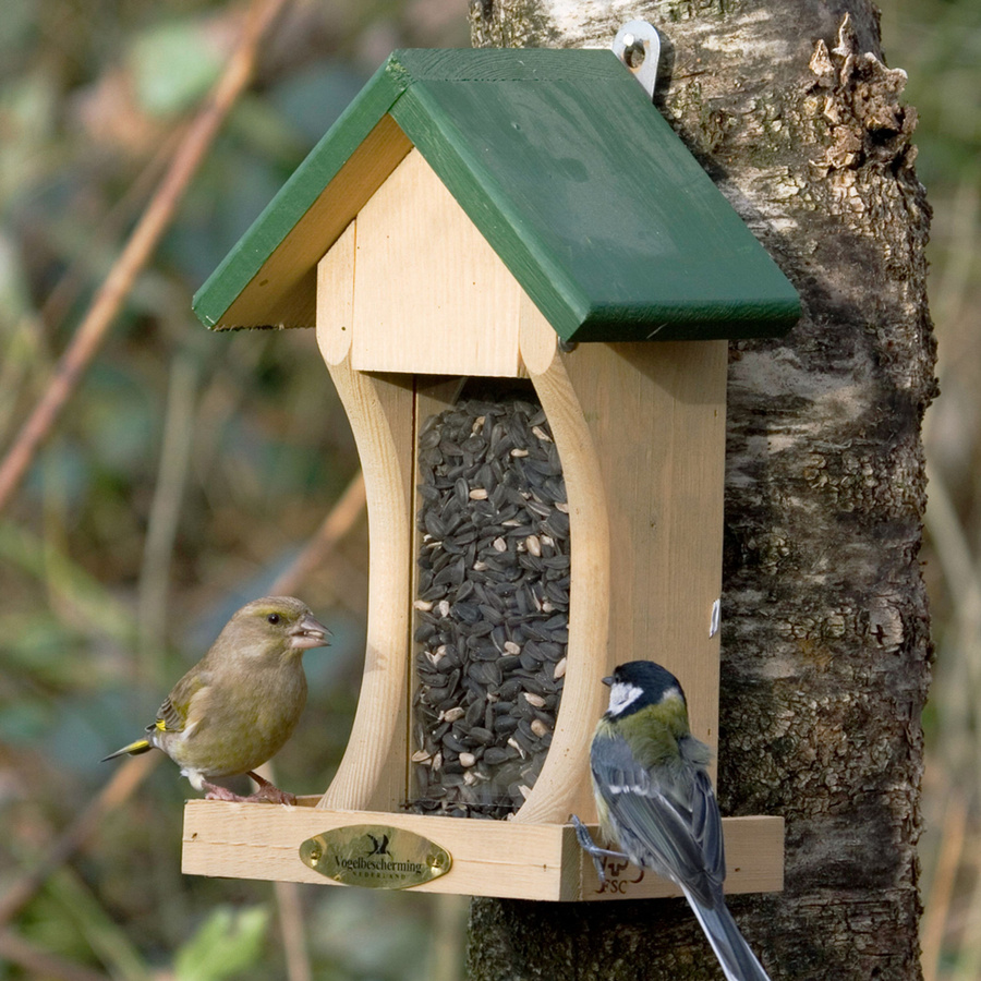 CJ Wildlife Futterhaus Bremen in Grün und Braun aus Kunststoff - Bild 3