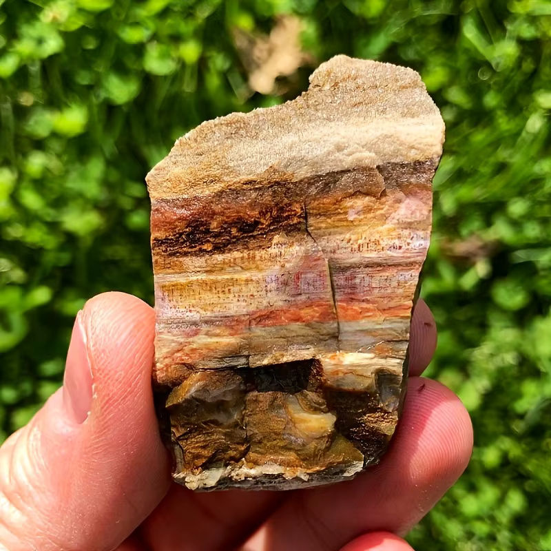 CrystalHola Natürlicher versteinertes Holz Rohstein in Mehrfarbig mit erhaltenen Holzmaserungen und Mineralien für deine Dekoration - Bild 3