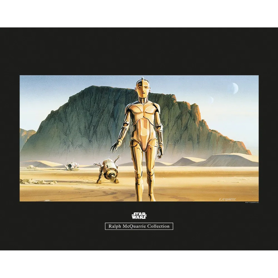Komar Wandbild Star Wars Droids Paper Poster Multicolor B: 50 cm, H: 40 cm - Bild 2