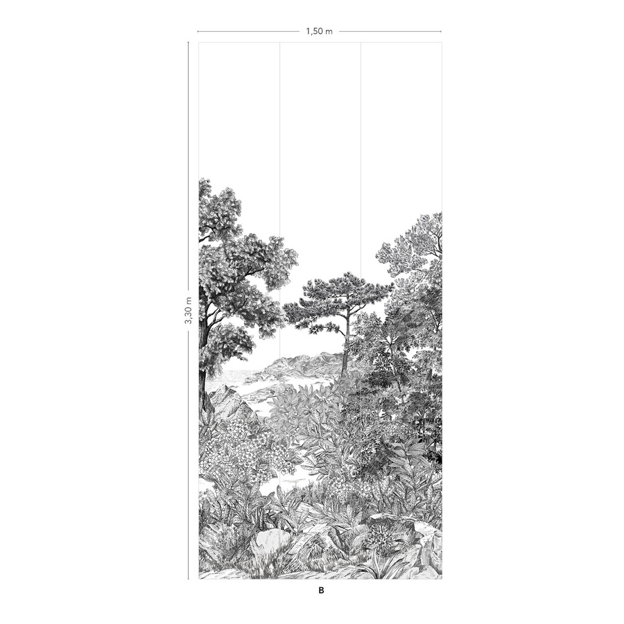 Isidore Leroy Fototapete Panoramadesign Foret de Bretagne Grisaille in Grau, Vlies, Breite: 330 cm, Höhe: 250 cm - Bild 2