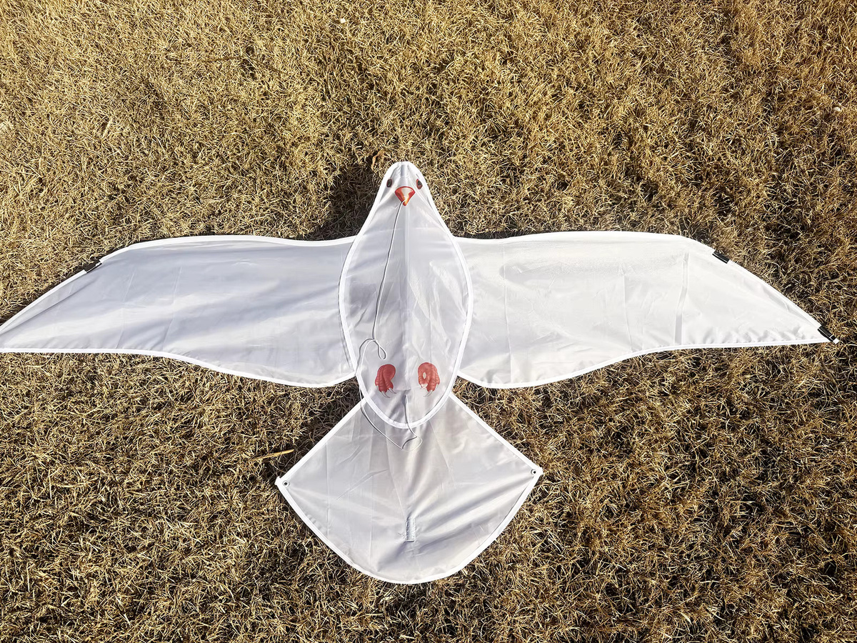 HENGDA KITE Einleiner-Taubenlenkdrachen, 59-Zoll, mit Griff und Schnur - Bild 4