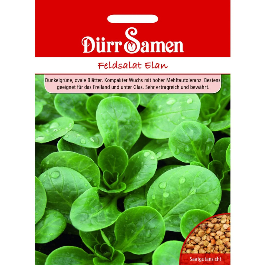 Dürr Feldsalat Elan Saatgut 4 g - Bild 2