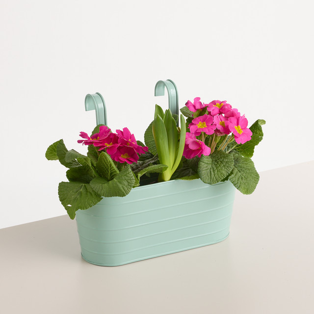 BLUME2000 Balkonkasten Rille aus Metall in Grün, B/T/H: 30,7 x 25,0 x 13,0 cm - Bild 1