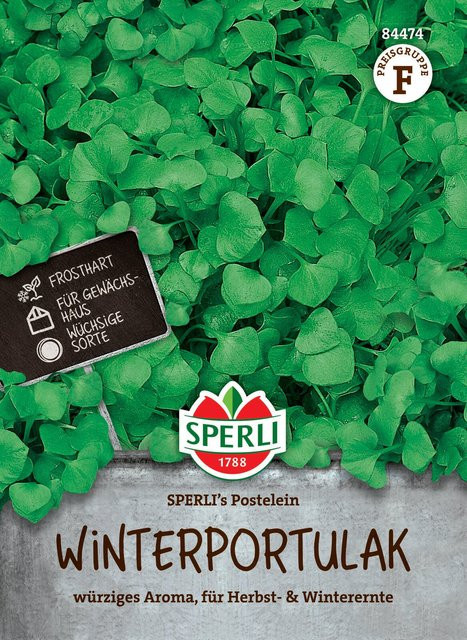 SPERLI Winterportulak-Samen Postelein - Bild 1