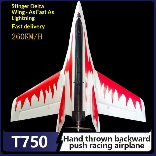 EVYVKV Stinger Wing Hochgeschwindigkeitsferngesteuertes Modellflugzeug - Bild 1