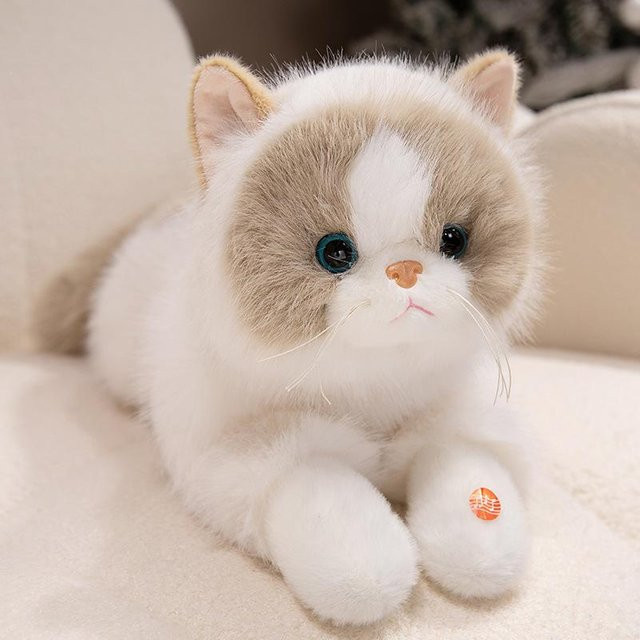 Ragdoll Katze Puppe Plüschtier, 50cm - Bild 1