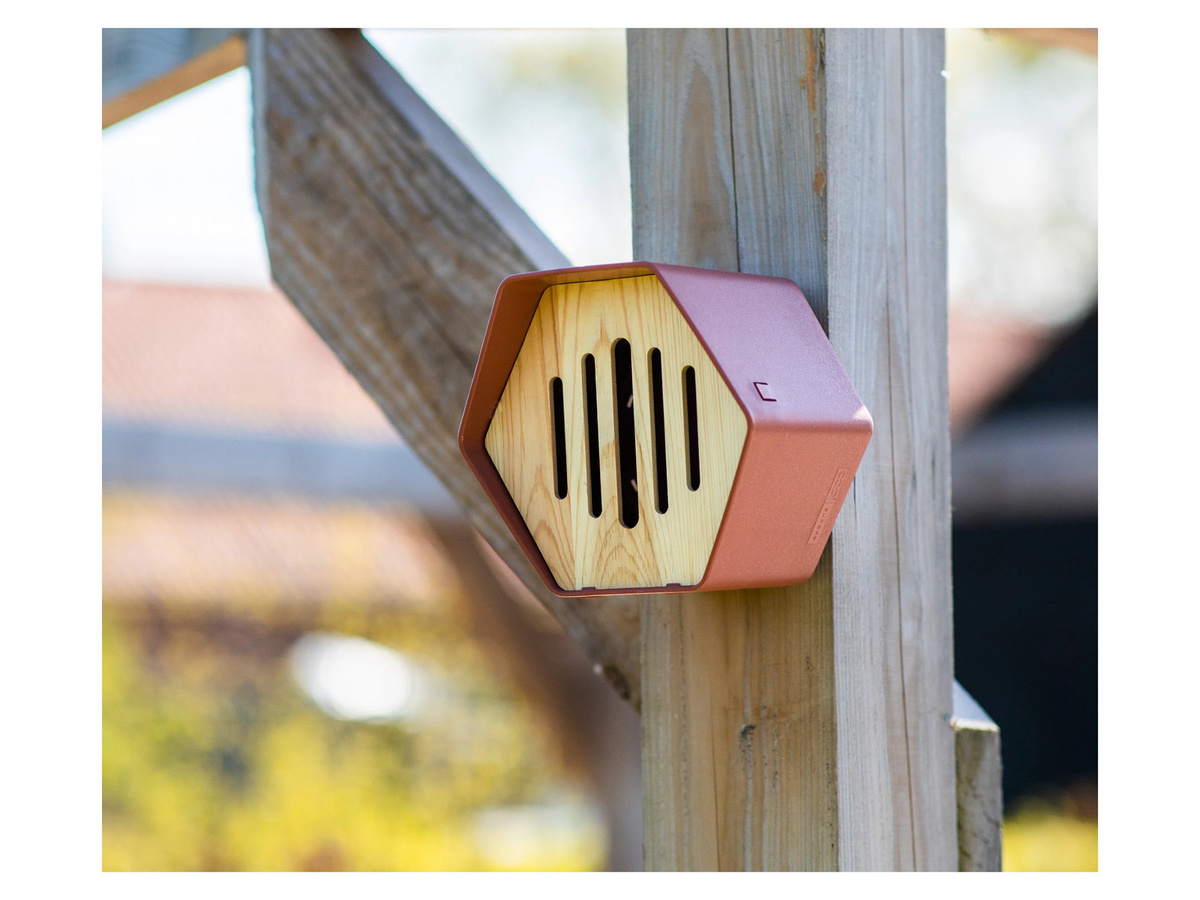 CAPI EUROPE Schmetterlingshotel Hive in Braun aus Holz und Kunststoff - Bild 2