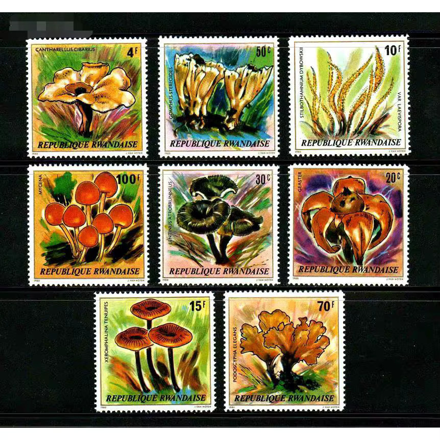 Briefmarken-Set Ruanda Post 1980 Pilz Pflanzen 8 Teile MNH mehrfarbig - Bild 2
