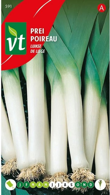 Arborix Lauch Lüttich Winter Samen für winterhartes Gemüse, 5 g - Bild 1