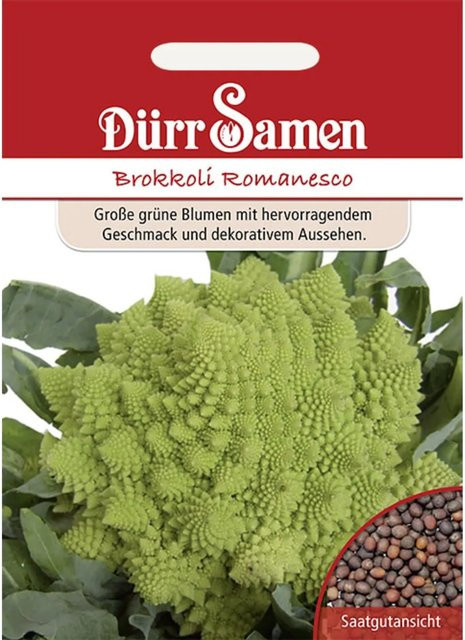 Dürr Romanesco Brokkoli Saatgut für Frühsaaten, 50 g - Bild 1
