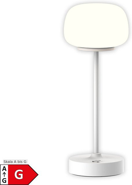 Näve LED Akku- Tischleuchte PINA weiß, dimmbar - Bild 1