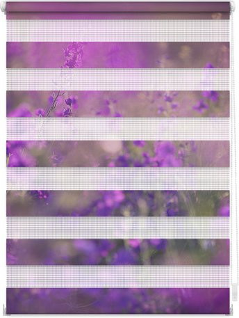 Lichtblick Duo-Rollo Klemmfix Blumenwiese fuchsia violett lila B: 70 cm, L: 150 cm - Bild 1