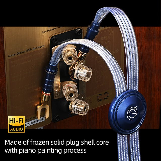 ERUMPENT HiFi-Lautsprecherkabel mit OCC-Silber und goldbeschichteten Steckern, rauschfreies Quadratkern-Flachbandkabel in Silber und Gold - Bild 1