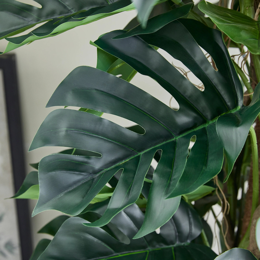Künstlicher Split-Philodendron Zephira von Aplanta in Grün, Höhe: 210 cm - Bild 4