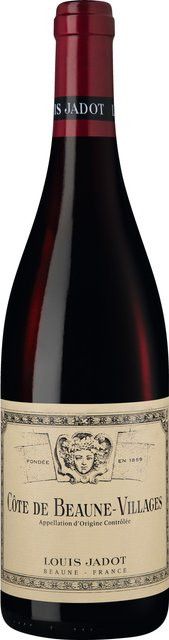 Louis Jadot Rotwein Pinot Noir Côte de Beaune, 2023, trocken, 0,75 l - Bild 1