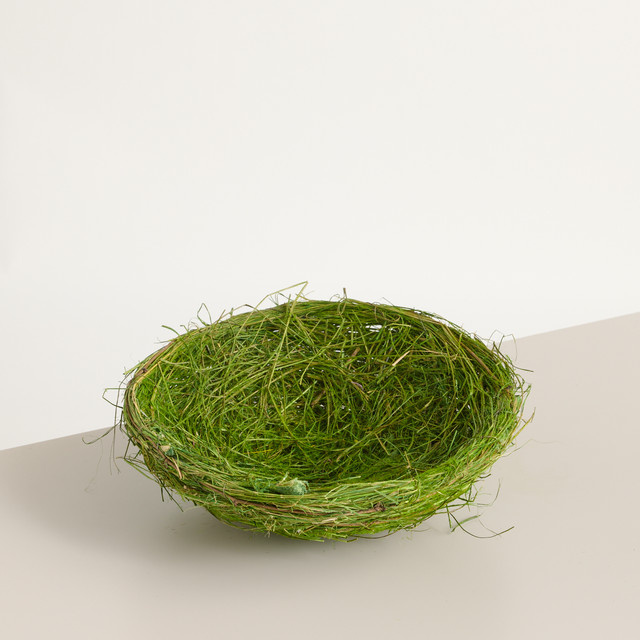 BLUME2000 Deko Grasnest Grün als Frühlingsgesteck und Osterarrangement aus echtem Gras für den Tisch - Bild 1