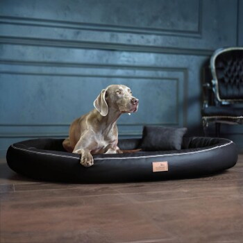 Tierlando Gilbert Ortho Hundebett mit Latex-Kern und Hair-Protect Kunstleder in Schwarz, B: 85 cm, T: 100 cm, H: 15 cm - Bild 2