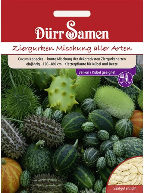 Dürr Samen Ziergurken Bunte Mischung Aller Arten Einjährig Blumensamen - Bild 1